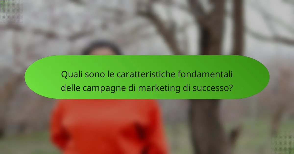Quali sono le caratteristiche fondamentali delle campagne di marketing di successo?